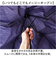 【当該商品送料無料】折りたたみ傘 メンズ 軽量 通販 折り畳み傘 53cm 傘 折りたたみ かさ カサ 雨傘 シンプル 無地 男性 女性 ケース付き