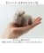 【当該商品送料無料】moz モズ ぬいぐるみチャーム 通販 バッグチャーム バッグアクセサリー ぬいぐるみ キーホルダー 高校生 おしゃれ かわいい