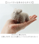 【当該商品送料無料】moz モズ ぬいぐるみチャーム 通販 バッグチャーム バッグアクセサリー ぬいぐるみ キーホルダー 高校生 おしゃれ かわいい
