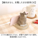 【当該商品送料無料】スマホ メガネ スタンド 通販 スマホメガネ立て 収納 眼鏡スタンド スマホスタンド 動物スタンド かわいい おしゃれ シンプル