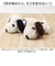 【当該商品送料無料】スヌーピー ふわくた 通販 ぬいぐるみ SNOOPY ピーナッツ PEANUTS FUWAKUTA ふわふわ はいはい 寝そべり