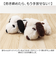 【当該商品送料無料】スヌーピー ふわくた 通販 ぬいぐるみ SNOOPY ピーナッツ PEANUTS FUWAKUTA ふわふわ はいはい 寝そべり