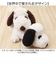 【当該商品送料無料】スヌーピー ふわくた 通販 ぬいぐるみ SNOOPY ピーナッツ PEANUTS FUWAKUTA ふわふわ はいはい 寝そべり