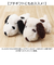 【当該商品送料無料】スヌーピー ふわくた 通販 ぬいぐるみ SNOOPY ピーナッツ PEANUTS FUWAKUTA ふわふわ はいはい 寝そべり