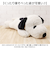 【当該商品送料無料】スヌーピー ぬいぐるみ 特大 通販 SNOOPY ピーナッツ PEANUTS ふわふわはいはい Ｌ 大きい ふわふわ はいはい