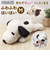 【当該商品送料無料】スヌーピー 大きい ぬいぐるみ 通販 SNOOPY ピーナッツ PEANUTS ふわふわはいはい M 大きめ ふわふわ はいはい
