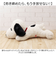 【当該商品送料無料】スヌーピー 大きい ぬいぐるみ 通販 SNOOPY ピーナッツ PEANUTS ふわふわはいはい M 大きめ ふわふわ はいはい