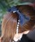 【当該商品送料無料】キッズ ヘアゴム リボン 通販 パールチェーン 58392202 ジューリーヘアゴム 大きめ 女の子 大人っぽい 卒園式 入学式