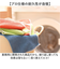 【当該商品送料無料】MQ Duotex クロス 通販 エムキューデュオテックス プレミアムダブルクロス MQDC ダブルクロス MQ-Duotex
