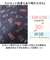 【当該商品送料無料】晴雨兼用折りたたみ傘 通販 スヌーピー グッズ 傘 雨傘 手開き 55cm 折りたたみ傘 かさ カサ 晴雨兼用傘 PEANUTS