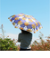 【当該商品送料無料】折りたたみ傘 レディース 通販 折り畳み傘 晴雨兼用傘 傘 かさ カサ アンブレラ 折り畳み 折りたたみ 雨傘 日傘 日よけ