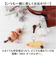 【当該商品送料無料】ニキ キーホルダー ぬいぐるみ NICI 通販 キーリング キーチャーム アニマル 洗える 手洗い おしゃれ キー ホルダー