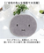 【当該商品送料無料】アクセントマット 通販 マット 玄関マット アクセント フロアマット 約40×50 吸水性 速乾性 マルチマット キャラクター