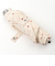 【当該商品送料無料】折りたたみ傘 レディース 55cm 通販 折り畳み傘 耐風傘 折りたたみ 傘 雨傘 かさ カサ 耐風 55センチ かわいい