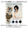 【当該商品送料無料】kizawa 折りたたみ 傘 軽量 通販 折りたたみ傘 メンズ 折り畳み傘 超軽量 カーボン傘 コンパクト 大きい 直径 約