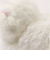 【当該商品送料無料】動く犬のおもちゃ 通販 おもちゃ 動く犬 音に反応 鳴く 目を開ける 目を閉じる 犬のぬいぐるみ 犬 イヌ いぬ かわいい