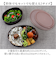 【当該商品送料無料】保存容器 プラスチック ケース 通販 日本製 食品保存容器 210ml 435ml 2個セット お弁当箱 ランチボックス 弁当箱