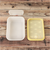 【当該商品送料無料】保存容器 プラスチック 通販 スケーター PAS5AG キャニスター 弁当箱 450ml パッキン一体型弁当箱 ランチボックス