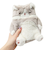【当該商品送料無料】巾着 ねこ肯定感 通販 ポーチ 巾着ポーチ ミニポーチ 小物入れ ぬいぐるみ 収納 携帯 小物 猫 ねこ ネコ アニマルポーチ