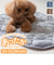 【当該商品送料無料】ペット用 パッド M 通販 犬用マット ペット用マット ペットマット ペットパッド ペット用パッド 敷きパッド マット