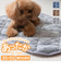 【当該商品送料無料】ペット用 パッド M 通販 犬用マット ペット用マット ペットマット ペットパッド ペット用パッド 敷きパッド マット