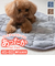 【当該商品送料無料】ペット用 パッド L 通販 犬用マット ペット用マット ペットマット ペットパッド ペット用パッド 敷きパッド マット