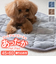 【当該商品送料無料】ペット用 パッド L 通販 犬用マット ペット用マット ペットマット ペットパッド ペット用パッド 敷きパッド マット