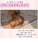 【当該商品送料無料】ペット用 パッド L 通販 犬用マット ペット用マット ペットマット ペットパッド ペット用パッド 敷きパッド マット