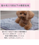 【当該商品送料無料】ペット用 パッド L 通販 犬用マット ペット用マット ペットマット ペットパッド ペット用パッド 敷きパッド マット
