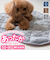 【当該商品送料無料】ペット用 パッド LL 通販 犬用マット ペット用マット ペットマット ペットパッド ペット用パッド 敷きパッド マット