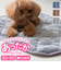 【当該商品送料無料】ペット用 パッド LL 通販 犬用マット ペット用マット ペットマット ペットパッド ペット用パッド 敷きパッド マット