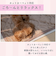 【当該商品送料無料】ペット用 パッド LL 通販 犬用マット ペット用マット ペットマット ペットパッド ペット用パッド 敷きパッド マット