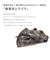【当該商品送料無料】洗濯洗剤 通販 衣類用洗剤 液体洗剤 ペット用洗濯洗剤 500? 洗濯用品 ペットの毛 犬服 猫服 毛が付きにくい ペット 毛玉