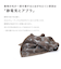 【当該商品送料無料】洗濯洗剤 通販 衣類用洗剤 液体洗剤 ペット用洗濯洗剤 500? 洗濯用品 ペットの毛 犬服 猫服 毛が付きにくい ペット 毛玉