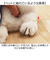【当該商品送料無料】スヌーピー ぬいぐるみ ふわふわ 通販 はいはい Sサイズ SNOOPY ピーナッツ PEANUTS キャラクターグッズ