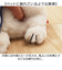 【当該商品送料無料】スヌーピー ぬいぐるみ ふわふわ 通販 はいはい Sサイズ SNOOPY ピーナッツ PEANUTS キャラクターグッズ