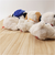 【当該商品送料無料】スヌーピー ぬいぐるみ ふわふわ 通販 はいはい Sサイズ SNOOPY ピーナッツ PEANUTS キャラクターグッズ