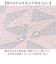 【当該商品送料無料】wpc ワールドパーティ 長傘 レディ－ス 通販 雨傘 傘 かさ カサ 丈夫 16本骨 多骨 和風 和柄 カジュアル