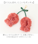 【当該商品送料無料】ぬいぐるみキーホルダー 通販 推し活 ぬいぐるみ 服 ポンチョ ぬいポンチョ 10cm さくらんぼ 10cmぬい推奨 推しぬい