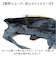 【当該商品送料無料】エコバッグ 保冷バッグ 通販 名画エコバッグ クーラーバッグ ショッピングバッグ 買い物バッグ トートバッグ エコバック