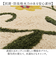 【当該商品送料無料】シビラ キッチンマット 240cm 通販 キッチン マット 台所マット 足元マット Sybilla ロングマット ロングサイズ