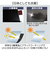 【当該商品送料無料】晴雨兼用傘 長傘 キッズ 55cm 通販 雨傘 日傘 晴雨兼用 耐風傘 子ども 傘 耐風 ジャンプ傘 UVカット99.9％
