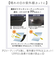 【当該商品送料無料】晴雨兼用折りたたみ傘 自動開閉 レディース 55cm 通販 折り畳み傘 自動開閉折りたたみ傘 自動開閉傘 自動開閉折り畳み傘