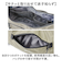 【当該商品送料無料】boite ボワット ショルダーバッグ B8151 大容量 通販 ショルダーバック ショルダー 肩掛け 斜めかけ ななめ掛け