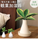 【当該商品送料無料】自然気化式 加湿器 かわいい 通販 卓上 気化式加湿器 小型 観葉植物 フェイクグリーン 卓上加湿器 気化式 オフィス おしゃれ