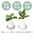 【当該商品送料無料】自然気化式 加湿器 かわいい 通販 卓上 気化式加湿器 小型 観葉植物 フェイクグリーン 卓上加湿器 気化式 オフィス おしゃれ