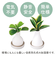 【当該商品送料無料】自然気化式 加湿器 かわいい 通販 卓上 気化式加湿器 小型 観葉植物 フェイクグリーン 卓上加湿器 気化式 オフィス おしゃれ