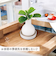 【当該商品送料無料】自然気化式 加湿器 かわいい 通販 卓上 気化式加湿器 小型 観葉植物 フェイクグリーン 卓上加湿器 気化式 オフィス おしゃれ
