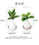 【当該商品送料無料】自然気化式 加湿器 かわいい 通販 卓上 気化式加湿器 小型 観葉植物 フェイクグリーン 卓上加湿器 気化式 オフィス おしゃれ