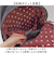 【当商品送料無料】ハリーポッター リュック F241064 通販 リュックサック レディース メンズ 通学 通勤 背面ファスナー A4 おしゃれ